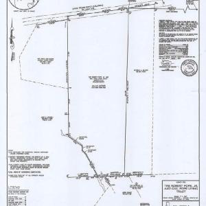 000 Carr Store Road Survey