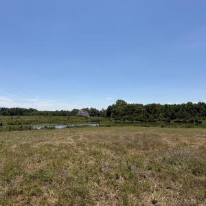 IMG_4862