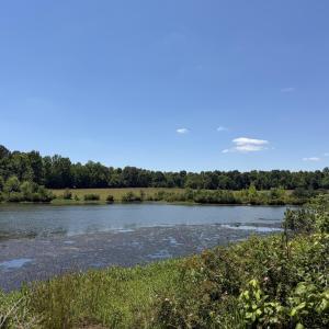 IMG_4879