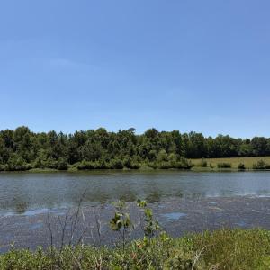 IMG_4880
