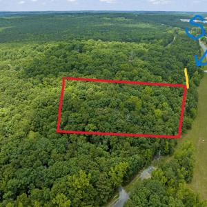 25-Screech-Owl-Moncure-NC-27559-0080