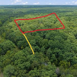 25-Screech-Owl-Moncure-NC-27559-0108