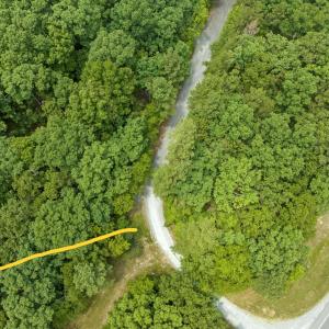 25-Screech-Owl-Moncure-NC-27559-0122