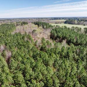 10-DJI_20260318123407