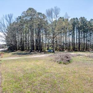 16-DJI_20260318123653