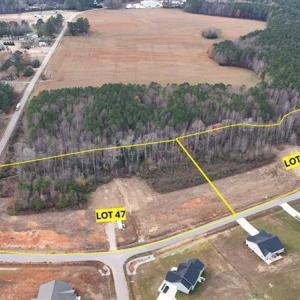 BC Lot 42 & 47 photo with lines