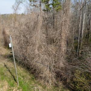 8438_Charlie Stovall pics-3