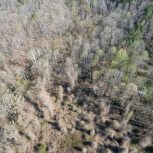 8438_Charlie Stovall pics-4