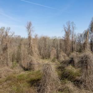 8438_Charlie Stovall pics-5