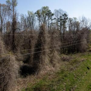 8438_Charlie Stovall pics-6