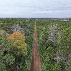 Screenshot 2026-03-30 151613