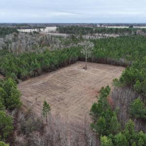 Screenshot 2026-03-30 151559