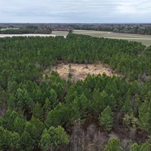 Screenshot 2026-03-30 151552