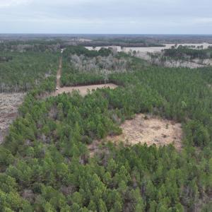 Screenshot 2026-03-30 151546