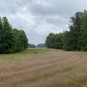 IMG_6606