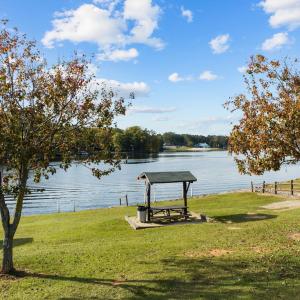 Pavilion View from 2