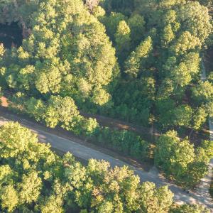 003_dji_0007-edit