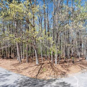 01-DJI_20260328122954