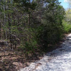 dji_fly_20260331_143304_441_177498235727