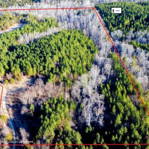 6cd5d8b7-bbce-458c-b9a5-abc30358e853~1