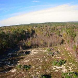 WhatsApp Image 2025-11-01 at 11.02.16_5b