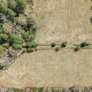 6-web-or-mls-DJI_20260326113153_0364_D