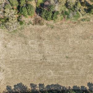 7-web-or-mls-DJI_20260326113216_0366_D