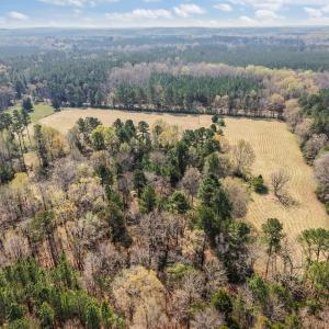 9-web-or-mls-DJI_20260326113554_0375_D