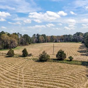 19-web-or-mls-DJI_20260326114807_0389_D