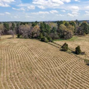 20-web-or-mls-DJI_20260326114819_0390_D