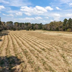 24-web-or-mls-DJI_20260326115046_0397_D