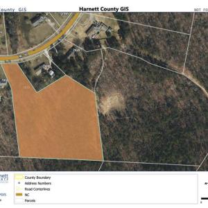 GIS Map Lot #4