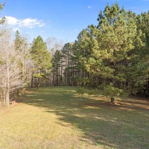 3-web-or-mls-03-DJI_20260331091245_0132_