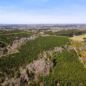 DJI_0634