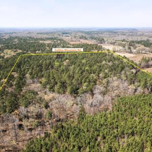 DJI_0640