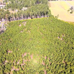 DJI_0642