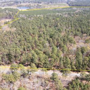 DJI_0655