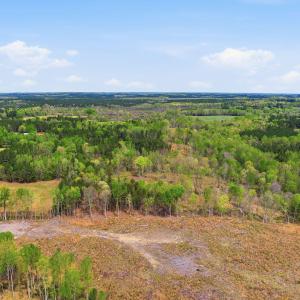 1-web-or-mls-6134 Bob Daniel rd-4