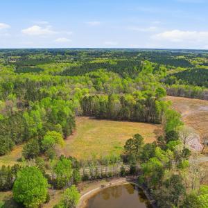 4-web-or-mls-6134 Bob Daniel rd-19