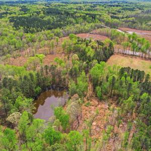 7-web-or-mls-6134 Bob Daniel rd-34