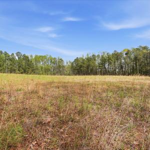 9-web-or-mls-6134 Bob Daniel rd-44