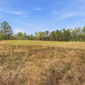 10-web-or-mls-6134 Bob Daniel rd-49