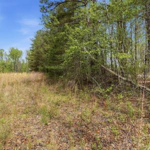 11-web-or-mls-6134 Bob Daniel rd-54