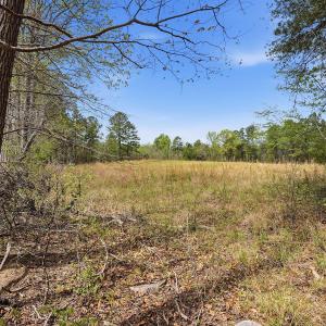 12-web-or-mls-6134 Bob Daniel rd-59