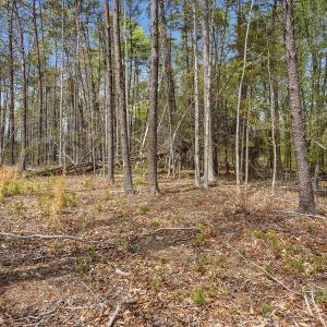 13-web-or-mls-6134 Bob Daniel rd-64