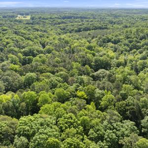 20260211224801202132000000-o