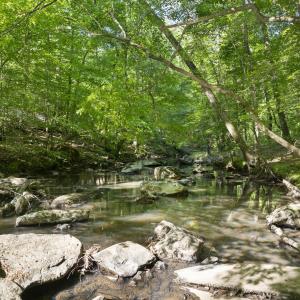 20260211224736674192000000-o