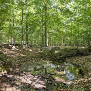 20260211224745437545000000-o