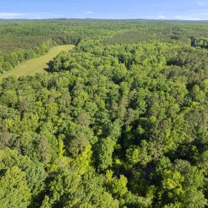 20260211224731960279000000-o