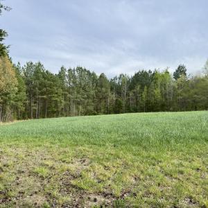 Hwy 86 - 30 ac - edge